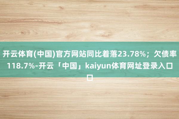开云体育(中国)官方网站同比着落23.78%；欠债率118.7%-开云「中国」kaiyun体育网址登录入口