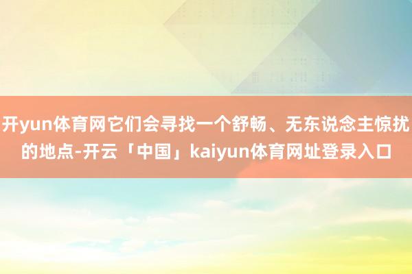 开yun体育网它们会寻找一个舒畅、无东说念主惊扰的地点-开云「中国」kaiyun体育网址登录入口